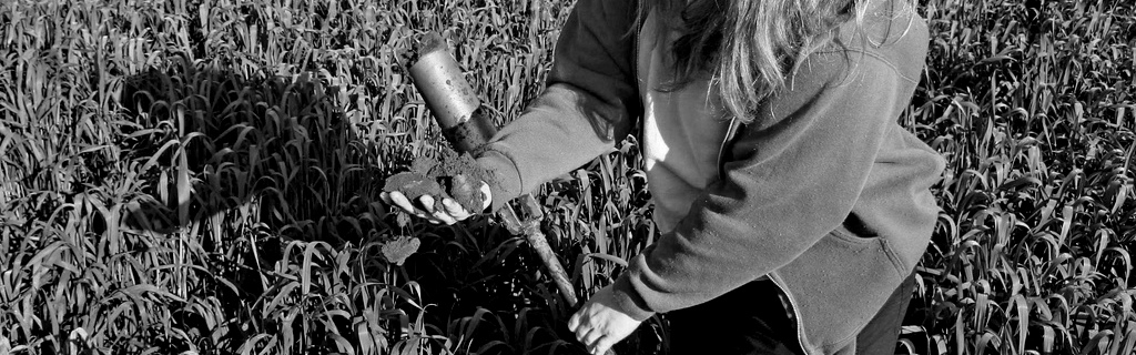 a soil scientist collecting a sample from a field