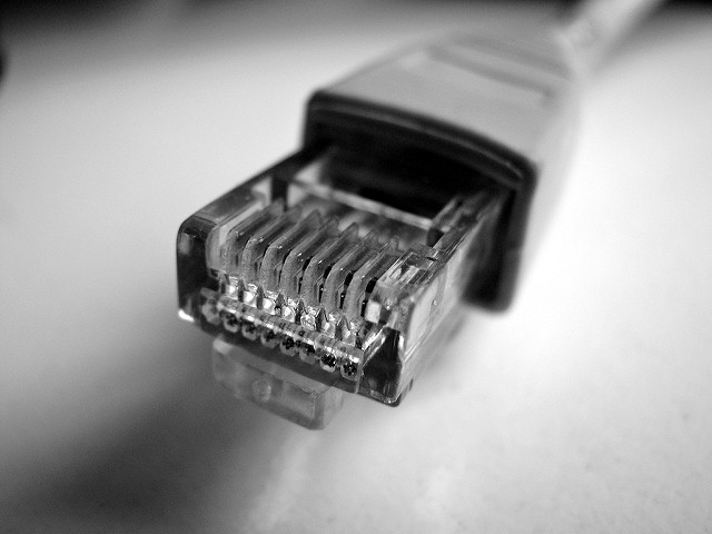 A closeup of an ethernet cable